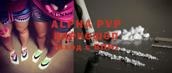 прущий лед Алзамай