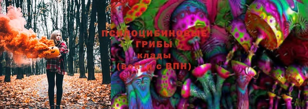 прущий лед Алзамай