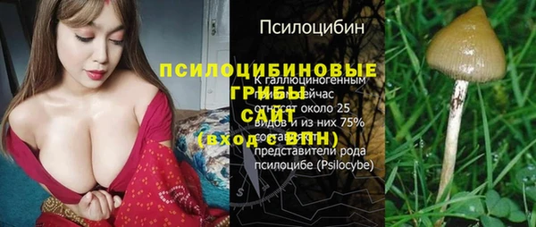 прущий лед Алзамай