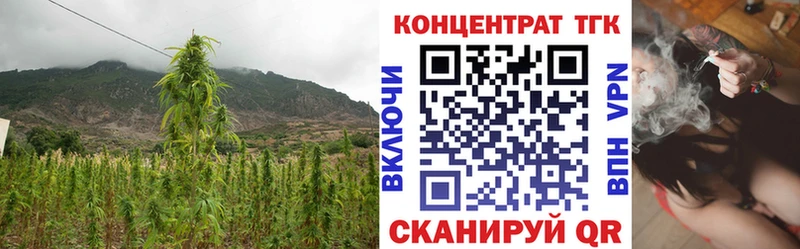 ТГК Wax Кирово-Чепецк