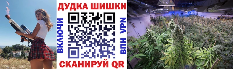 Канабис VHQ мориарти как зайти Кирово-Чепецк МЕГА вход